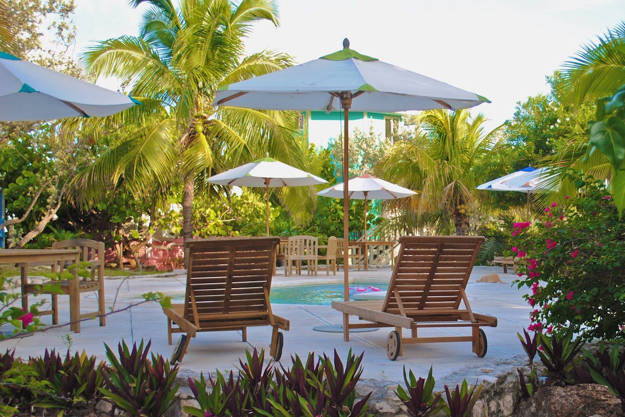 view of palm trees in a resort